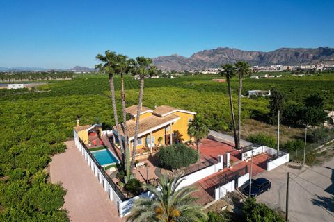 Finca i Orihuela, Alicante, Orihuela - € 675.000 | Ref: AG19MLSC7601485 - foto 2