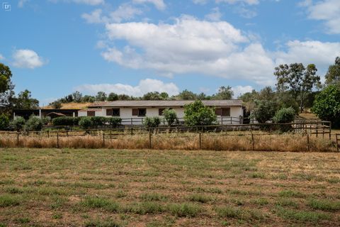 Villa i Ourique, Beja, Ourique - € 1.800.000 | Ref: SVP2607 - foto 30
