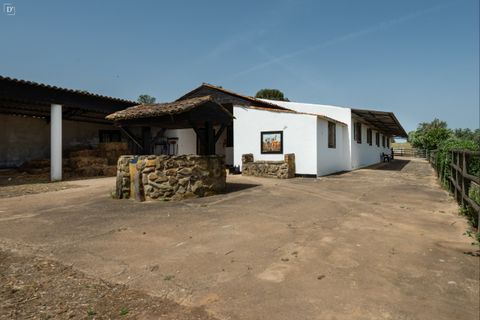 Villa i Ourique, Beja, Ourique - € 1.800.000 | Ref: SVP2607 - foto 31