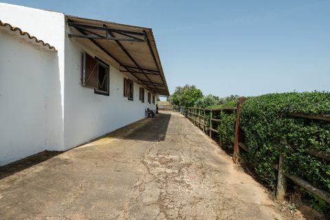 Villa i Ourique, Beja, Ourique - € 1.800.000 | Ref: SVP2607 - foto 32