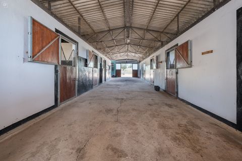 Villa i Ourique, Beja, Ourique - € 1.800.000 | Ref: SVP2607 - foto 33