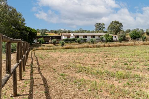 Villa i Ourique, Beja, Ourique - € 1.800.000 | Ref: SVP2607 - foto 36