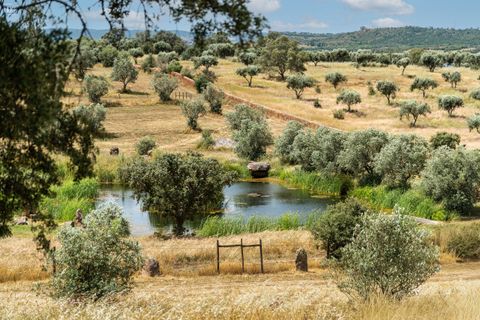 Villa i Ourique, Beja, Ourique - € 1.800.000 | Ref: SVP2607 - foto 40