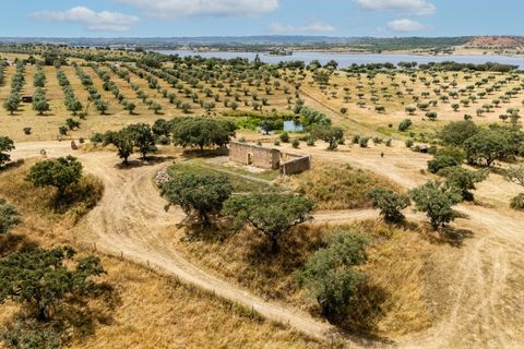 Villa i Ourique, Beja, Ourique - € 1.800.000 | Ref: SVP2607 - foto 45