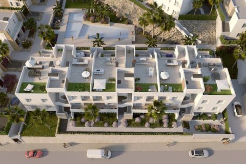 Villa in Algorfa, Alicante, Algorfa - € 465.000 | Ref: 465421__COMPLEX__932/13477 - foto 22