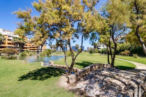 Lejlighed i Torrevieja, Alicante, Torrevieja - € 239.969 | Ref: MLSC5594049/13477 - foto 49