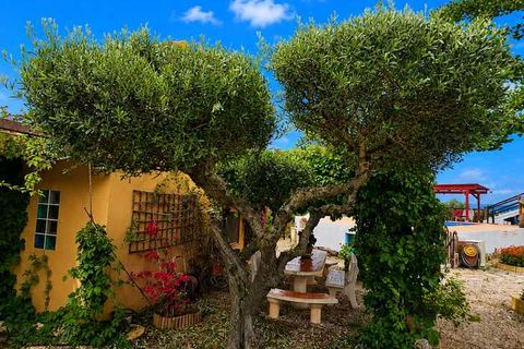Landejendom i Chella, Valencia, Chella - € 399.000 | Ref: EB15256 - foto 4