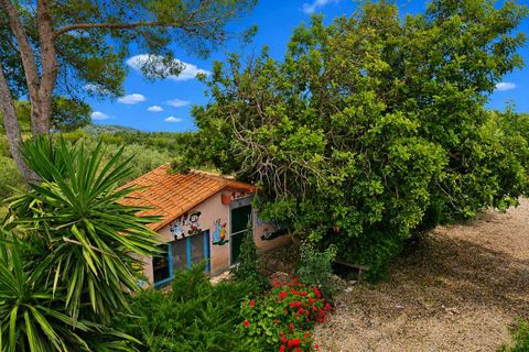 Landejendom i Chella, Valencia, Chella - € 399.000 | Ref: EB15256 - foto 7