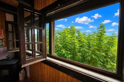 Landejendom i Chella, Valencia, Chella - € 399.000 | Ref: EB15256 - foto 34