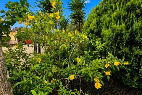 Landejendom i Chella, Valencia, Chella - € 399.000 | Ref: EB15256 - foto 50