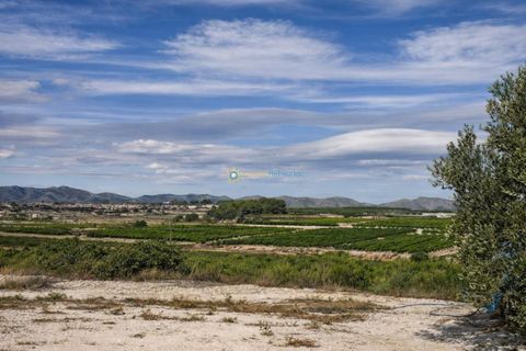 Villa a Bufali, Valencia, Bufali - € 110.000 | Ref: PNVL2099 - foto 35