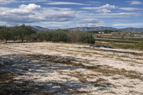 Villa a Bufali, Valencia, Bufali - € 110.000 | Ref: PNVL2099 - foto 32