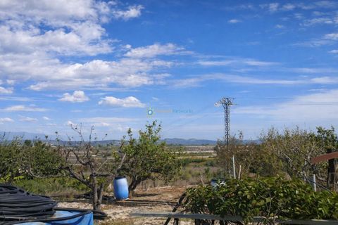 Villa a Bufali, Valencia, Bufali - € 110.000 | Ref: PNVL2099 - foto 29