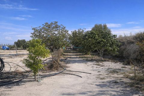 Villa a Bufali, Valencia, Bufali - € 110.000 | Ref: PNVL2099 - foto 36
