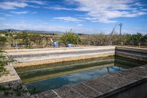 Villa a Bufali, Valencia, Bufali - € 110.000 | Ref: PNVL2099 - foto 24