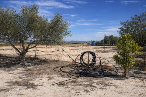 Villa a Bufali, Valencia, Bufali - € 110.000 | Ref: PNVL2099 - foto 28