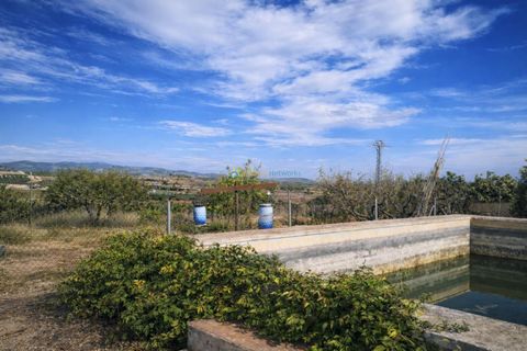 Villa a Bufali, Valencia, Bufali - € 110.000 | Ref: PNVL2099 - foto 25