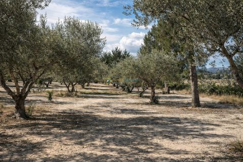 Villa a Bufali, Valencia, Bufali - € 110.000 | Ref: PNVL2099 - foto 31