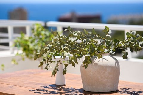 Triplex i Calvia, Mallorca, Calvia - € 1.490.000 | Ref: 361-11682P - foto 33