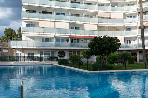 Studio i Calvia, Mallorca, Calvia - € 265.000 | Ref: 361-13014P - foto 10