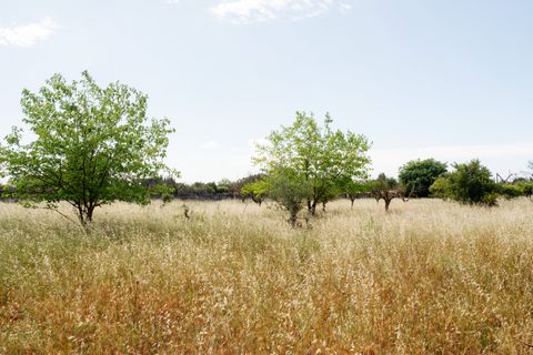 Finca i Inca, Mallorca, Inca - € 1.150.000 | Ref: 361-13189P - foto 7