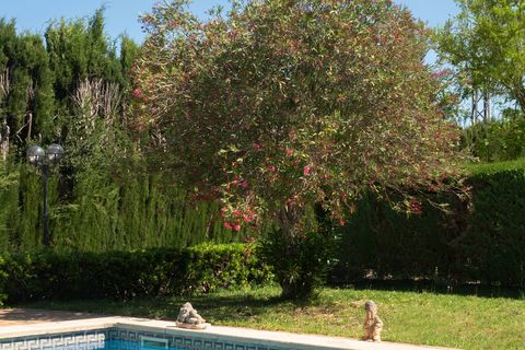 Finca i Inca, Mallorca, Inca - € 1.150.000 | Ref: 361-13189P - foto 13