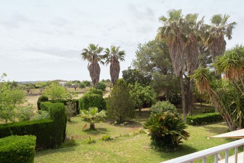 Finca i Inca, Mallorca, Inca - € 1.150.000 | Ref: 361-13189P - foto 24