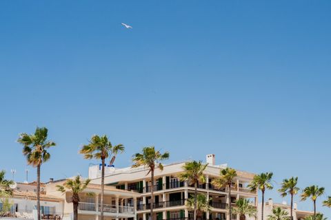 Byhus i Ses Salines, Mallorca, Ses Salines - € 741.000 | Ref: 361-13305P - foto 17
