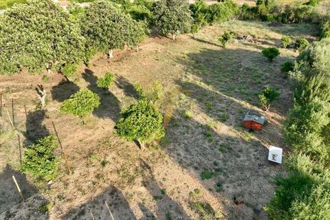 Villa i Lagoa, Faro, Lagoa - € 695.000 | Ref: 061083 - foto 16