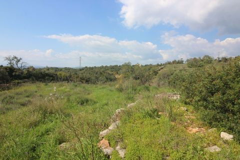 Farm hus i Tunes, Faro, Tunes - € 340.000 | Ref: 059581 - foto 10