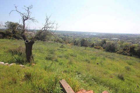 Farm hus i Tunes, Faro, Tunes - € 340.000 | Ref: 059581 - foto 14