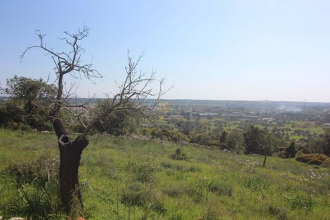 Farm hus i Tunes, Faro, Tunes - € 340.000 | Ref: 059581 - foto 15