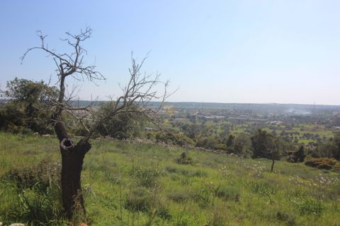 Farm hus i Tunes, Faro, Tunes - € 340.000 | Ref: 059581 - foto 16