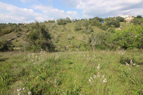 Farm hus i Tunes, Faro, Tunes - € 340.000 | Ref: 059581 - foto 21