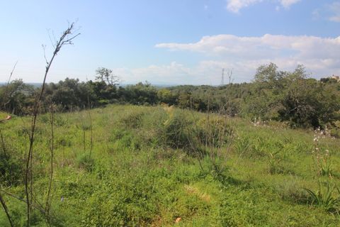 Farm hus i Tunes, Faro, Tunes - € 340.000 | Ref: 059581 - foto 22