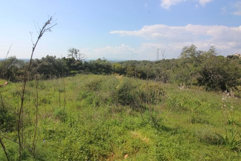 Farm hus i Tunes, Faro, Tunes - € 340.000 | Ref: 059581 - foto 23