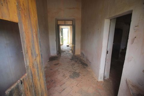 Farm hus i Tunes, Faro, Tunes - € 340.000 | Ref: 059581 - foto 33