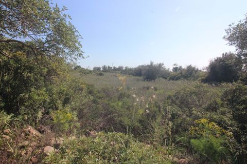 Farm hus i Tunes, Faro, Tunes - € 340.000 | Ref: 059581 - foto 41