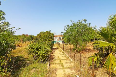Landejendom i Silves, Faro, Silves - € 980.000 | Ref: 061104 - foto 12