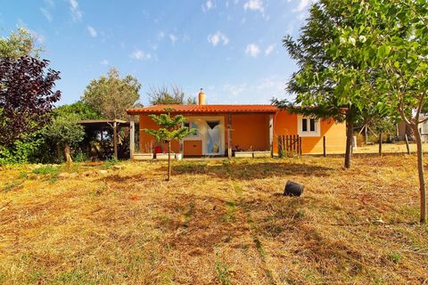 Landejendom i Silves, Faro, Silves - € 980.000 | Ref: 061104 - foto 19
