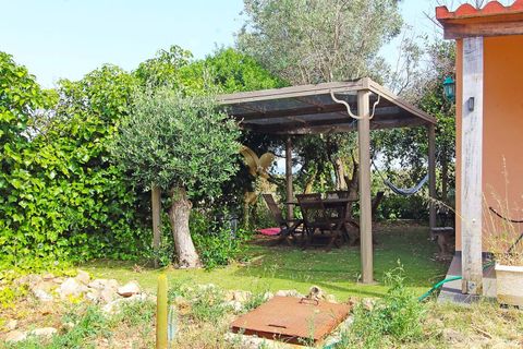 Landejendom i Silves, Faro, Silves - € 980.000 | Ref: 061104 - foto 20