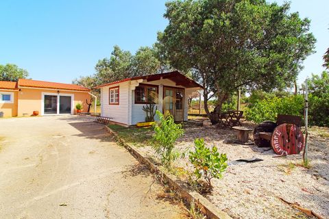 Landejendom i Silves, Faro, Silves - € 980.000 | Ref: 061104 - foto 27