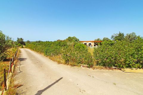 Landejendom i Silves, Faro, Silves - € 980.000 | Ref: 061104 - foto 30