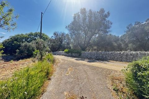 Terra a Carovigno, Brindisi, Carovigno - € 65.000 | Ref: LM1 plot w buil - foto 18