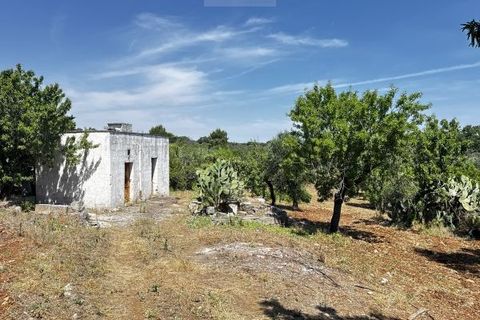 Terra a Carovigno, Brindisi, Carovigno - € 65.000 | Ref: LM1 plot w buil - foto 2
