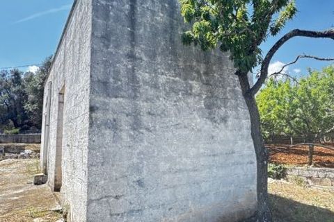 Terra a Carovigno, Brindisi, Carovigno - € 65.000 | Ref: LM1 plot w buil - foto 5