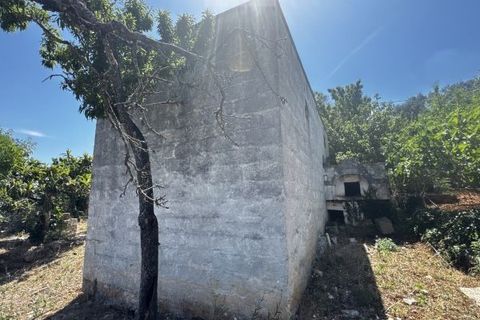 Terra a Carovigno, Brindisi, Carovigno - € 65.000 | Ref: LM1 plot w buil - foto 4