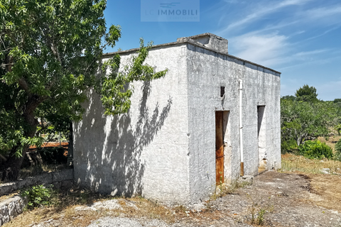 Terra a Carovigno, Brindisi, Carovigno - € 65.000 | Ref: LM1 plot w buil - foto 3