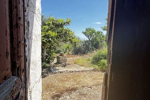 Terra a Carovigno, Brindisi, Carovigno - € 65.000 | Ref: LM1 plot w buil - foto 6