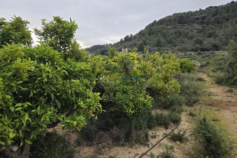 Helårsgrund i Rafelcofer, Valencia, Rafelcofer - € 14.500 | Ref: PNPT290 - foto 2